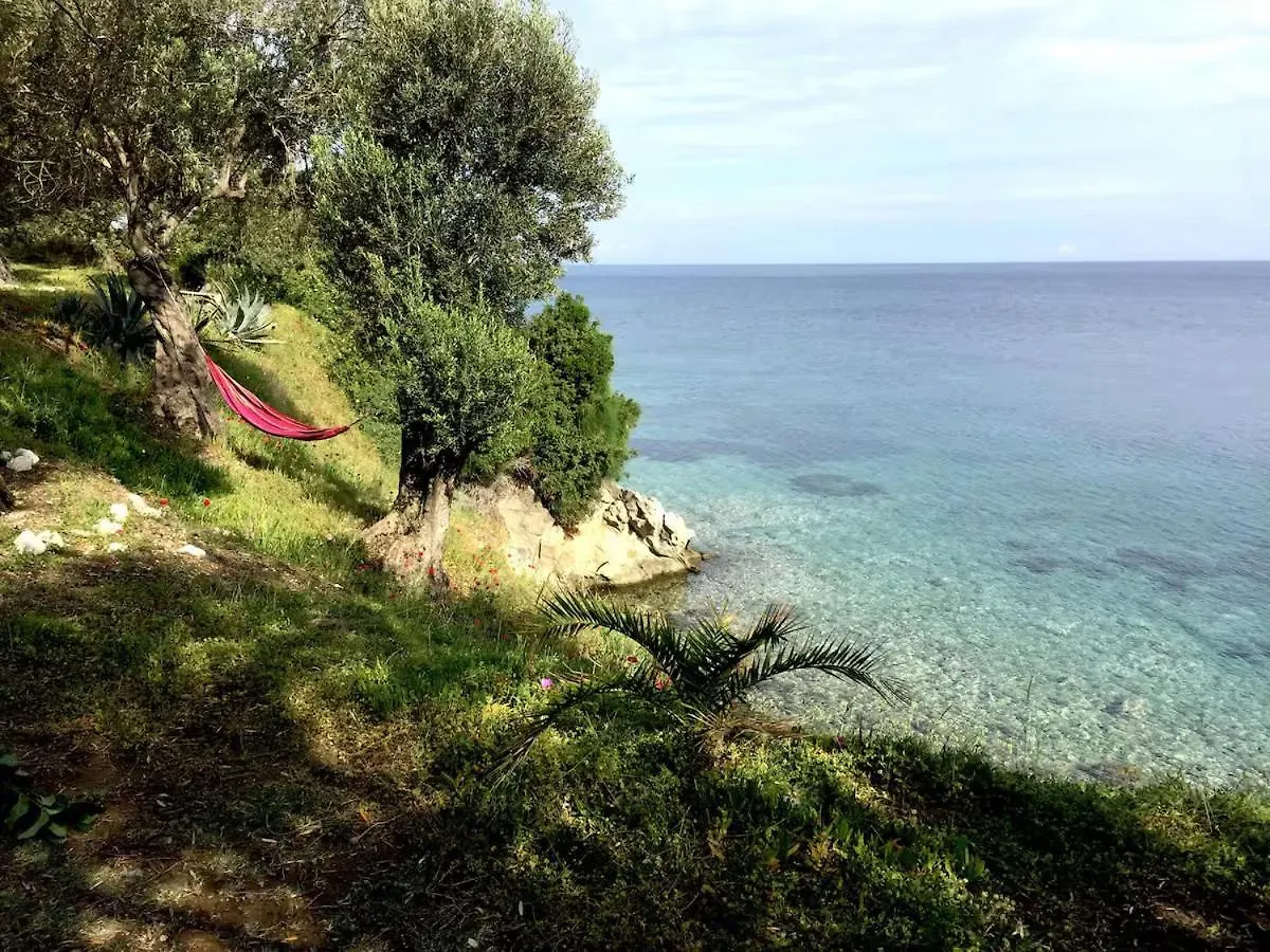 Dream House By The Aegean Coast Villa Dikili